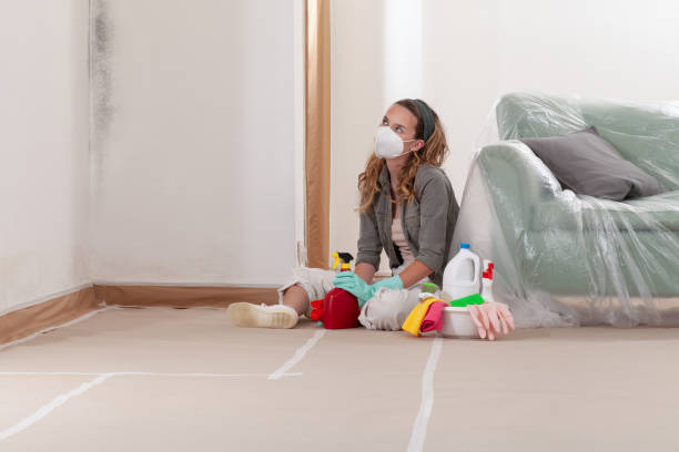 Reliable Mold Testing contractor in Nashville, MI by WQB Mold Removal